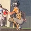 Wyatt Reed333 - @wyattreed333 - TikTok