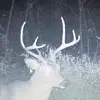 Wyatt reed - @wyatt_reed1212 - TikTok