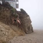 Wyatt Reed - @wyattreed22 - Instagram