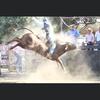 Wyatt Robinson - @wyattr760 - TikTok