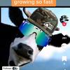 wyattrobinson225 - @wyattrobinson225 - TikTok
