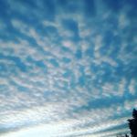 wyatt-⁶⁹ - @wyatt.rowe_ - Instagram