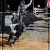 Wyatt Rowe - Facebook