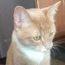 its just wyatt - @wyatt_sapp - TikTok