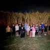 wyattschmidt - @wyattschmidt - TikTok