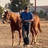 Imthathorseshoer - @wyatt_sutton707 - TikTok