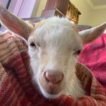 Wyatt Sutton - @wyatt.sutton05 - Instagram