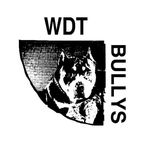 Wyatt Talbot - @wdt_bullys12 - Instagram