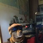 Wyatt Terrell - Facebook