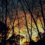 wyatt terrell - @wterrell4960 - Instagram