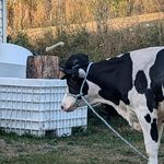Wyatt Walls - @wyattwalls34o1 - Instagram