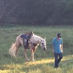 Wyatt Murray - @weeks_wyatt - Instagram