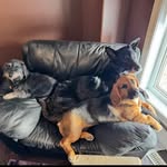 Bonnie Wylie-Johnson - @bonnie_wylie_johnson - Instagram