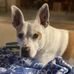 Wynn Jones - Facebook