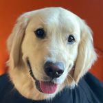 Wynn Smith - @wynnwfh - Instagram
