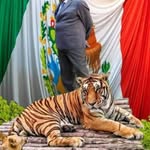 Blanco Xavier - @xavier__blanco - Instagram