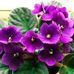 Xavier Philippe Humbert - Facebook