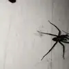 Xavier Phillips - @xavier.phillips92 - TikTok