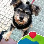 Xavier Pol Orriols - Facebook