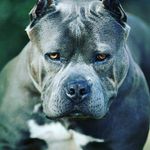 Xavier purnell - @xavierpurnell65 - Instagram