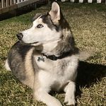 Xavier Reyes - @deathbringer_537 - Instagram