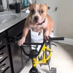 Xavier Mason - @xavier.richard.dean - Instagram