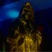 Xavier Robertson - Facebook