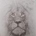 Xavier Robles - Facebook