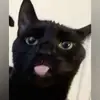 Xavier Rojas - @xavier.rojas04 - TikTok