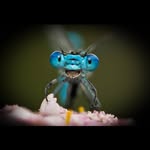 Xavier Roux - @xavier.doussot.cochet - Instagram