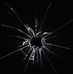 Xavier Stambaugh - Facebook