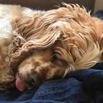 Xavier Townsend - @xaviertownsend_ - Instagram