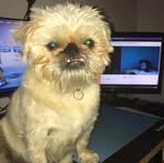Xavier Upton - Facebook