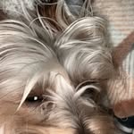 Xavier Valadez - @clip.er4 - Instagram