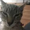 Xavier Valadez - @xavier.valadez6 - TikTok