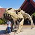 Xavier Vallejo - Facebook
