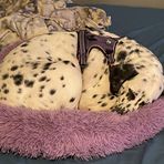 Xavier Armond Vance - Facebook