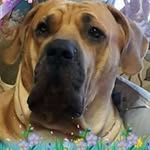 Xavier Vanceslas - @xaviervanceslas - Instagram