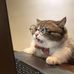 Xavier Vargas ៚ - Facebook