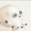 Lic_mi_nut🥸 - @xaviervela1231 - TikTok