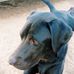 Xavier Wallace - Facebook