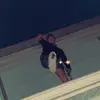 Xavier Wallace - @xavierwallace03 - TikTok