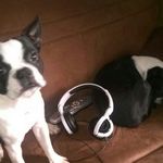 xavier waller - @xavierwaller_the_king - Instagram