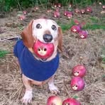 Xavier Walters - Facebook