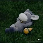 Xavier Wang - @xavier_from2024 - Instagram
