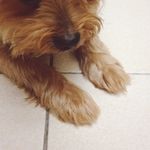 Xavier Wang - @xavier1205 - Instagram