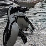Xavier Weeks - @xavier_weeks2005 - Instagram