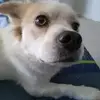 Xavier Welsh - @xavier.welsh6 - TikTok
