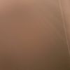 xavier.wiley2 - @xavier.wiley2 - TikTok