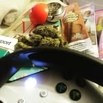 Xavier Willis - @xxstonerxxgamerxx - Instagram